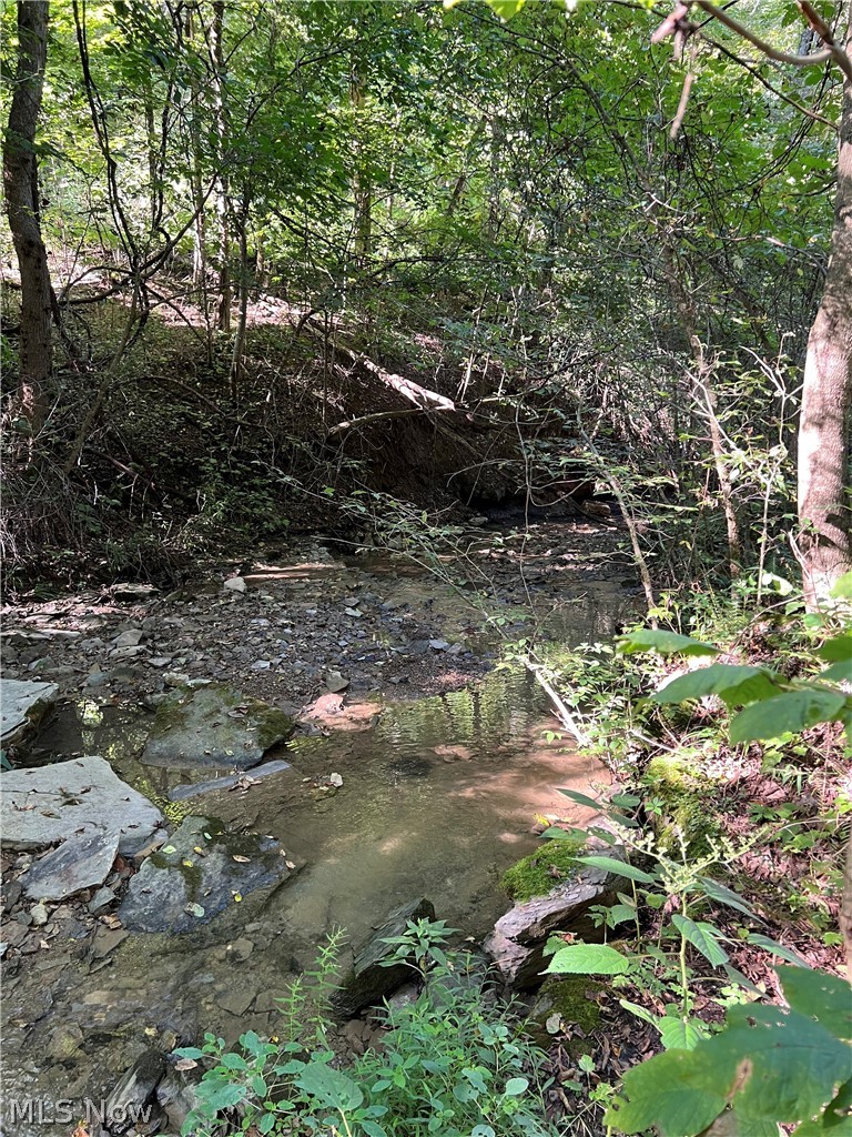 53520 Trough Run Road Property Photo 18