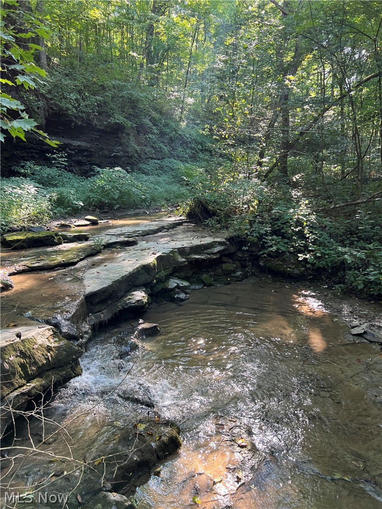 53520 Trough Run Road Property Photo 19