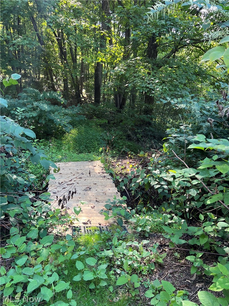 53520 Trough Run Road Property Photo 20