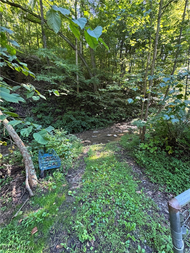 53520 Trough Run Road Property Photo 21