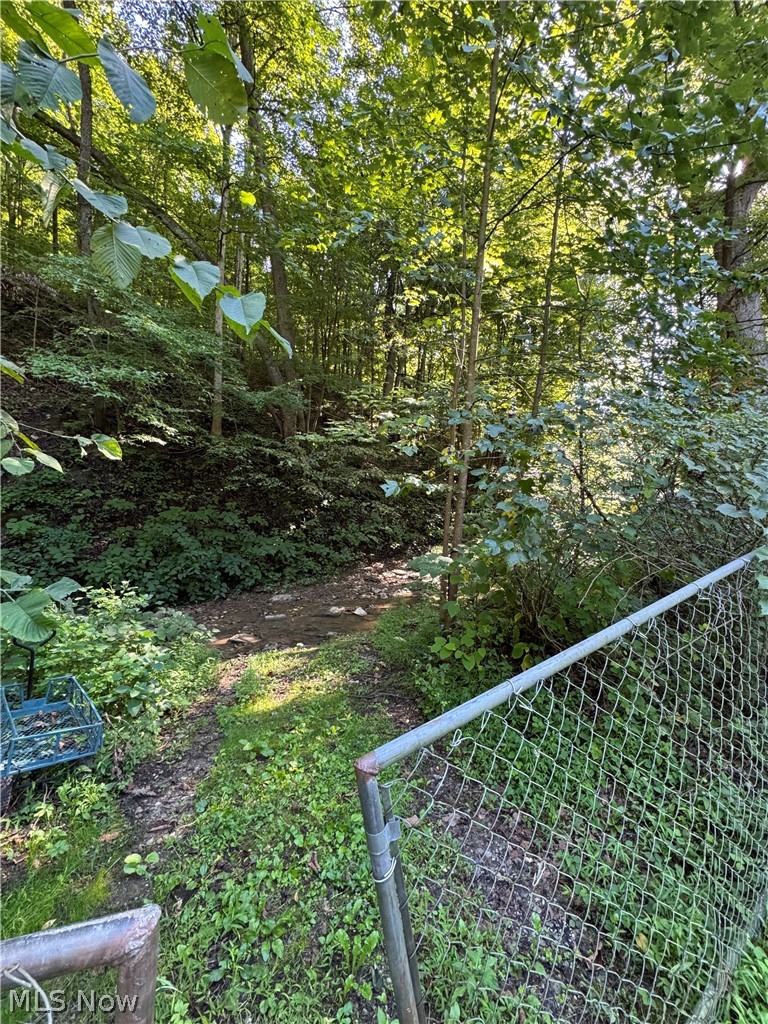 53520 Trough Run Road Property Photo 22