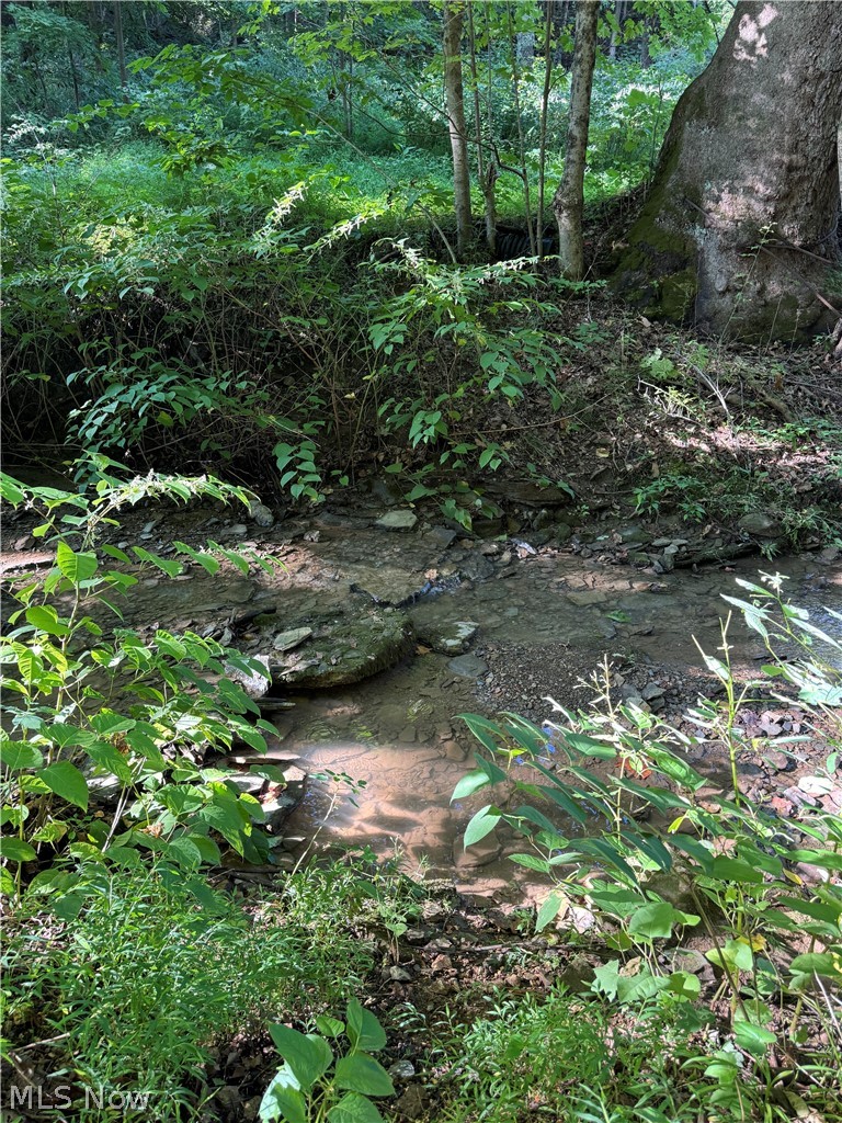 53520 Trough Run Road Property Photo 23