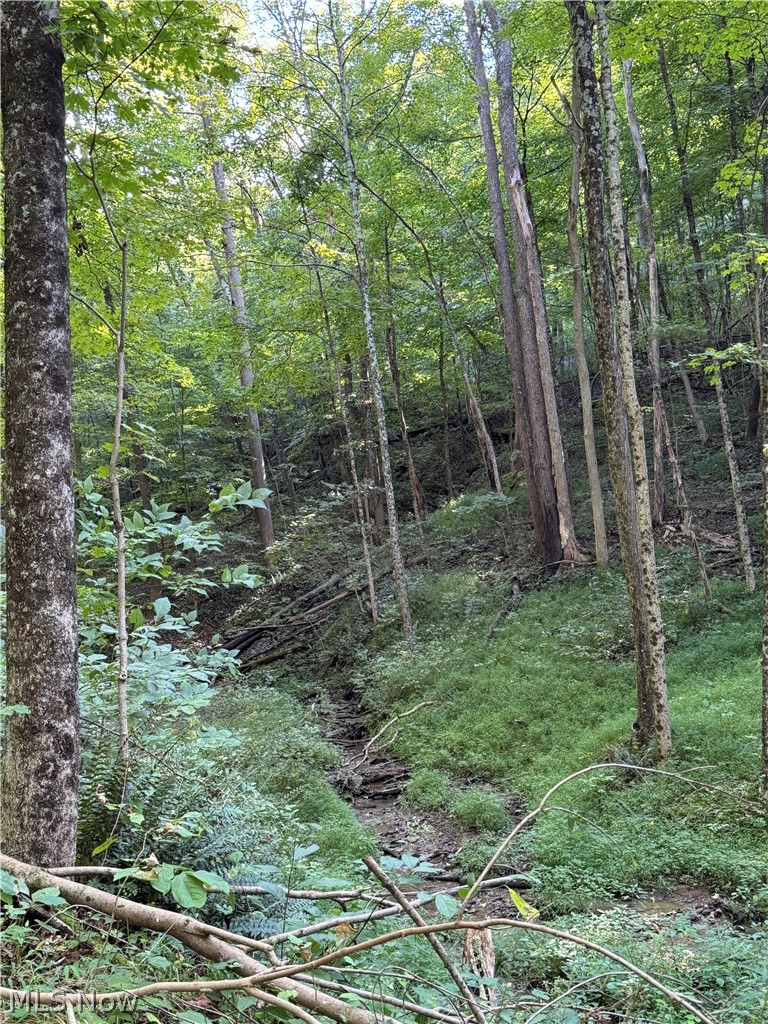 53520 Trough Run Road Property Photo 24