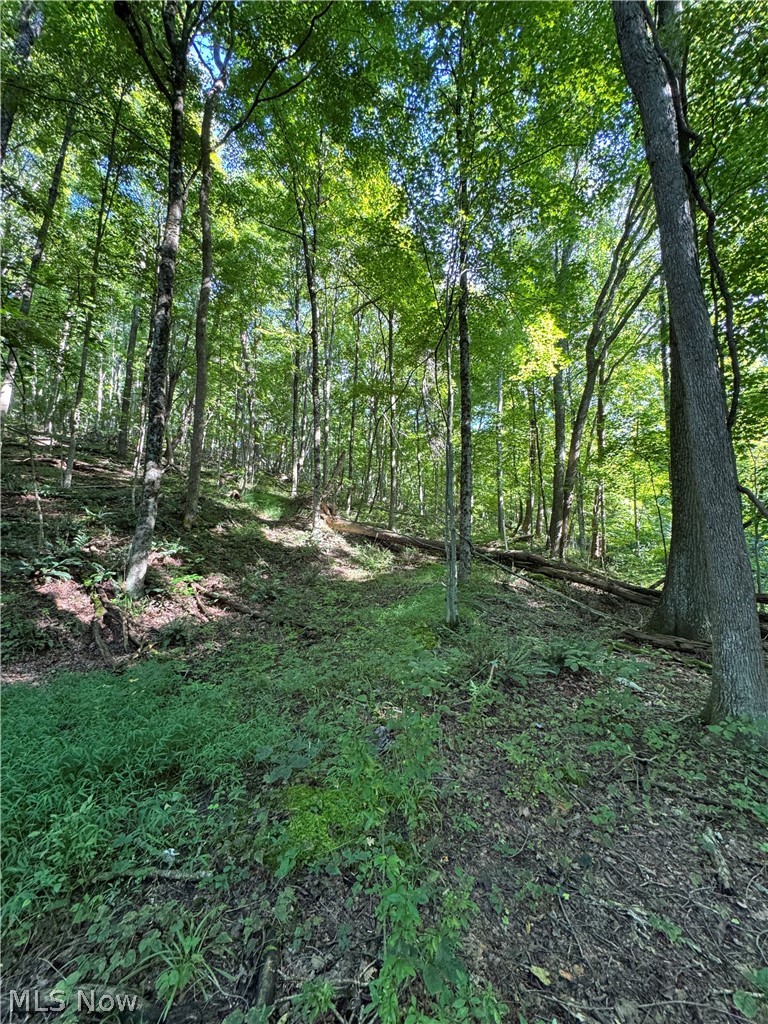 53520 Trough Run Road Property Photo 25