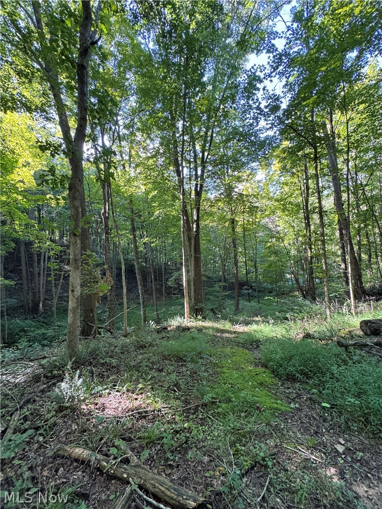 53520 Trough Run Road Property Photo 26