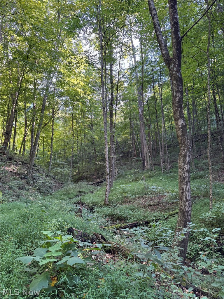 53520 Trough Run Road Property Photo 27