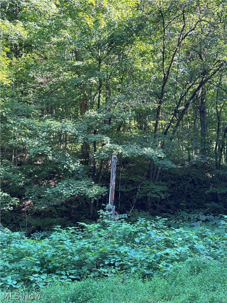 53520 Trough Run Road Property Photo 28
