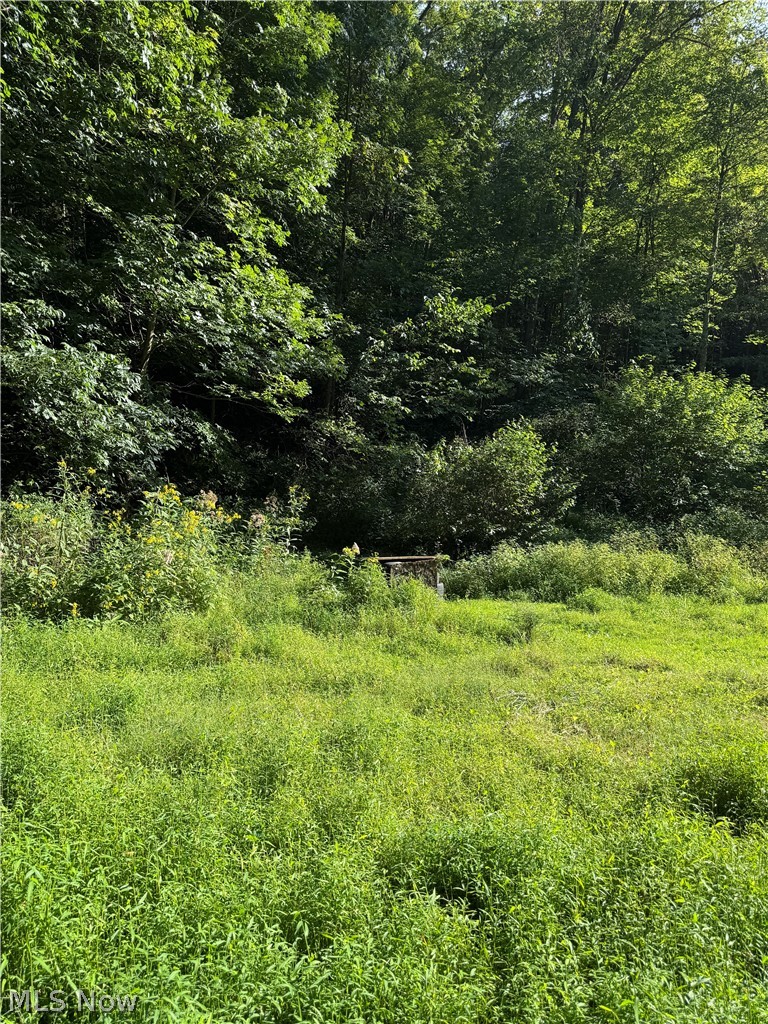 53520 Trough Run Road Property Photo 29
