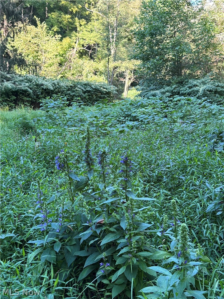 53520 Trough Run Road Property Photo 30