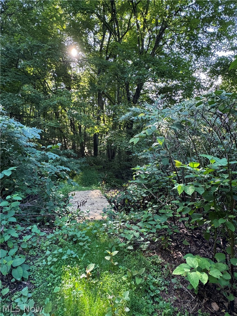 53520 Trough Run Road Property Photo 31