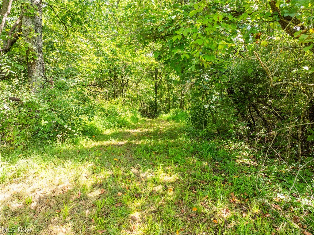Taylor Road Property Photo 10