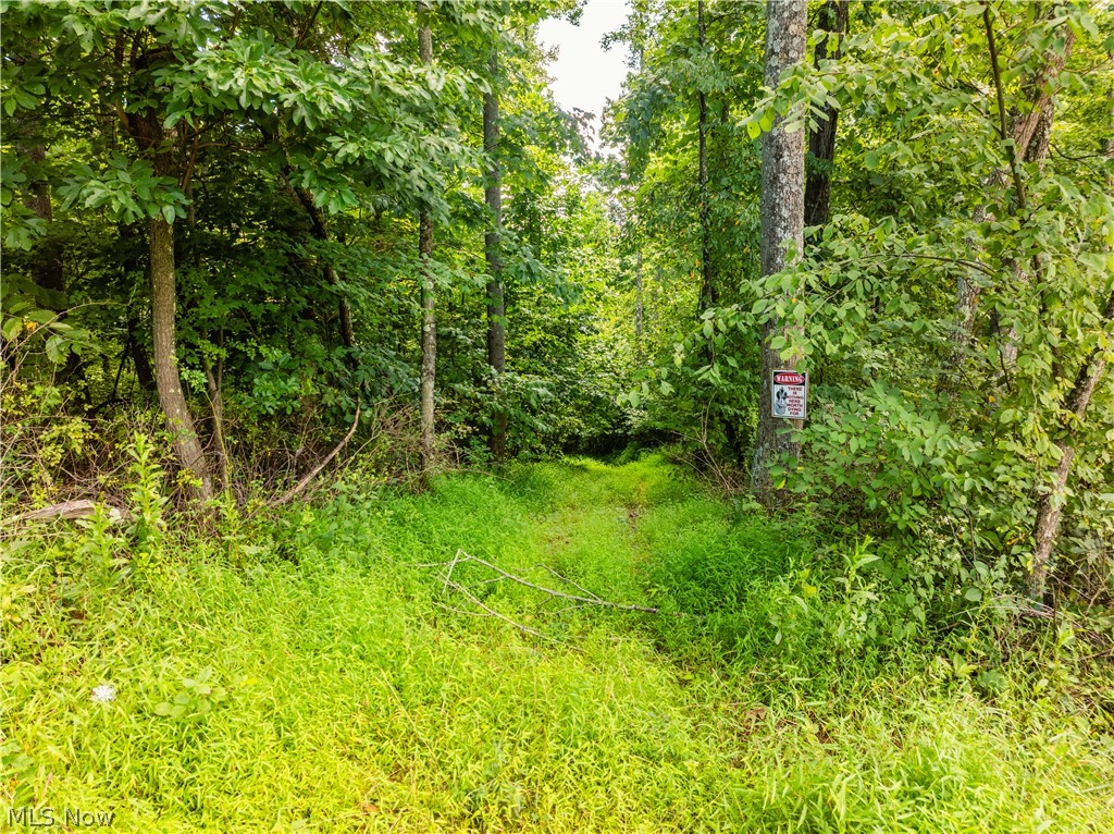 Taylor Road Property Photo 25