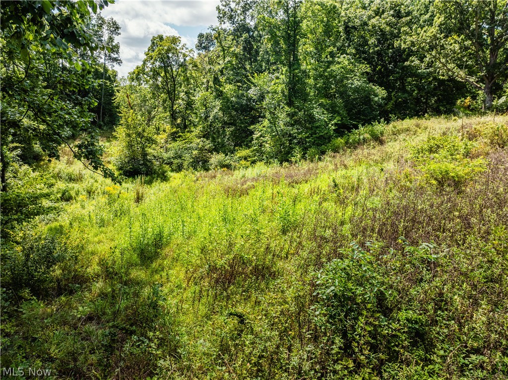 Taylor Road Property Photo 26