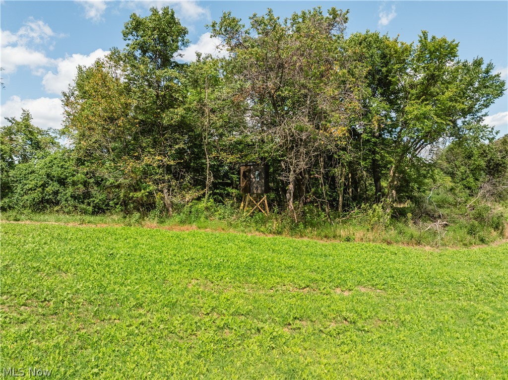 Taylor Road Property Photo 30
