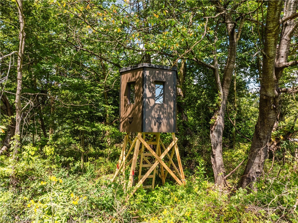 Taylor Road Property Photo 32