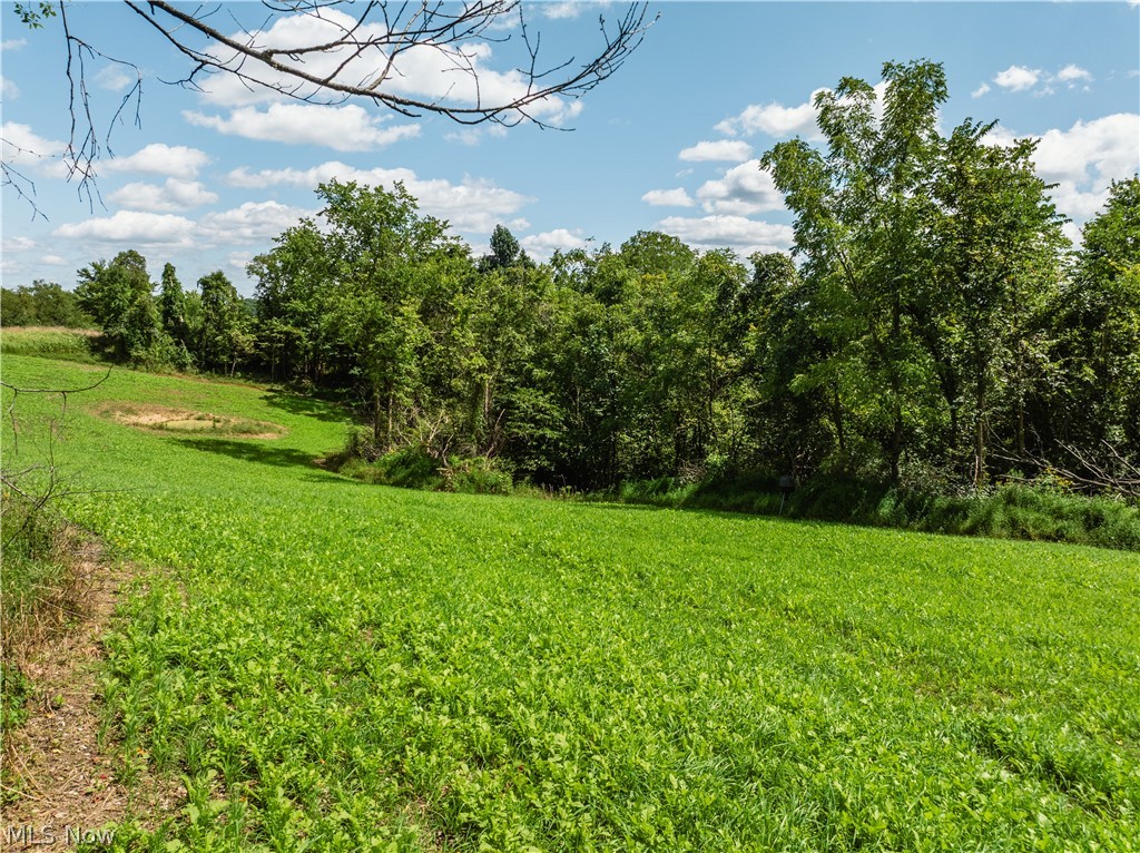Taylor Road Property Photo 33