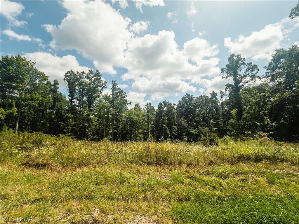 Taylor Road Property Photo 37