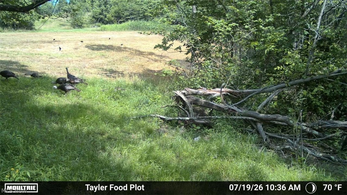 Taylor Road Property Photo 41