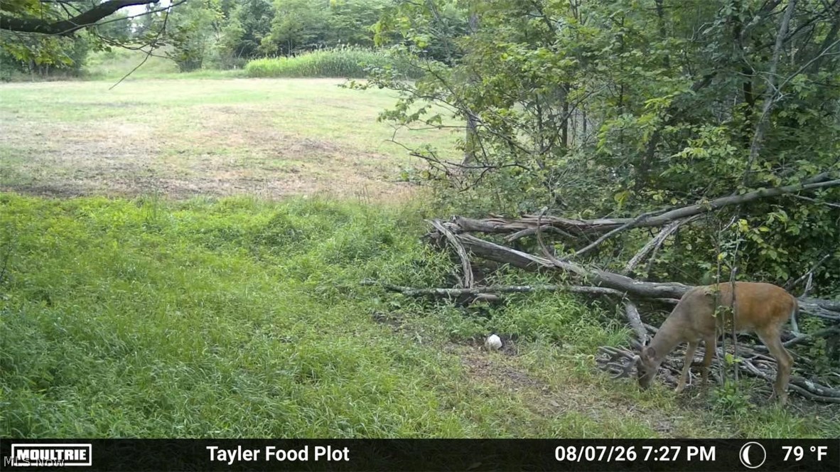 Taylor Road Property Photo 44