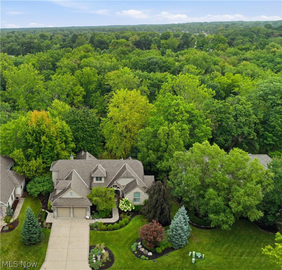 411 Stonebridge Drive Property Photo 1