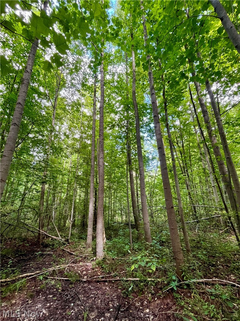 4508 State Route 193 Property Photo 42