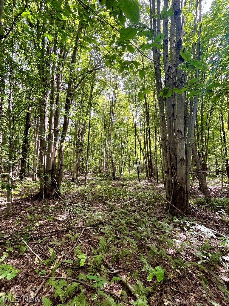 4508 State Route 193 Property Photo 43