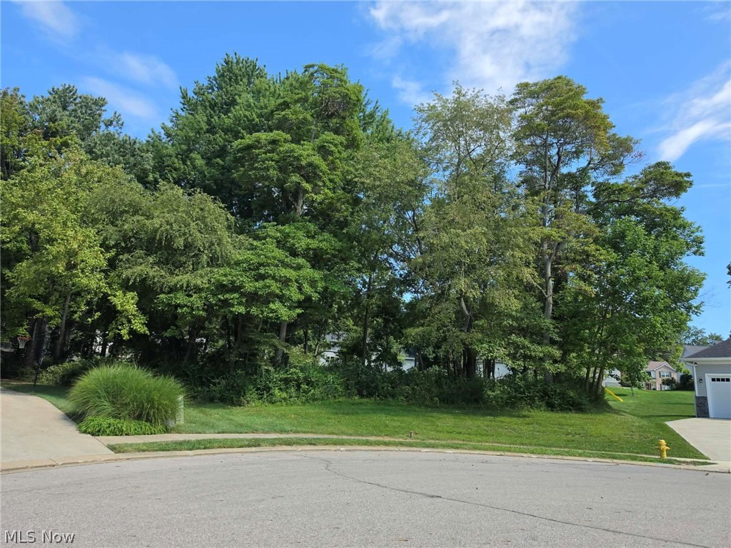 1347 Cherry Bark Court Property Photo 1
