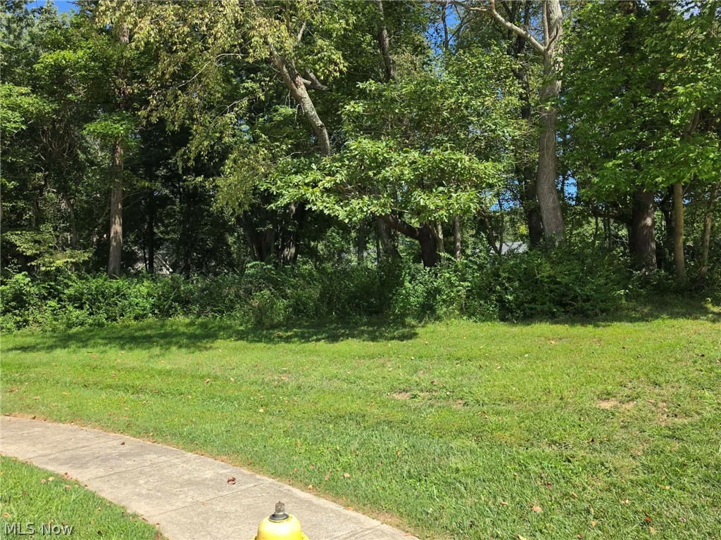 1347 Cherry Bark Court Property Photo 2