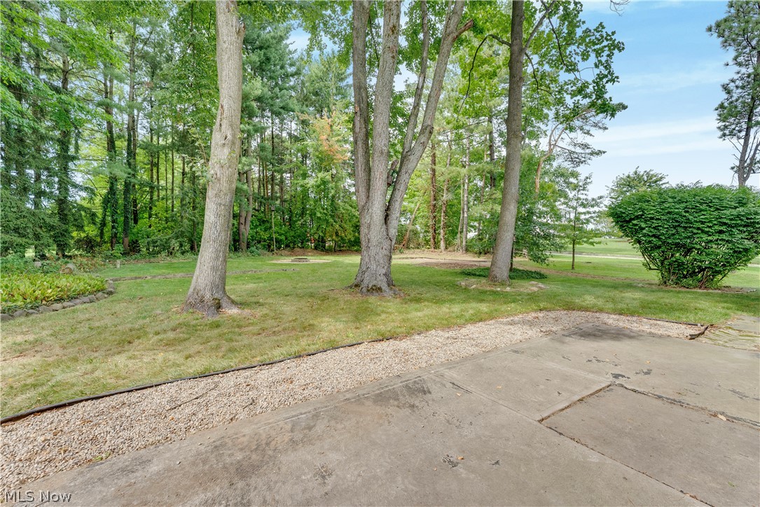 10074 Darrow Road Property Photo 26
