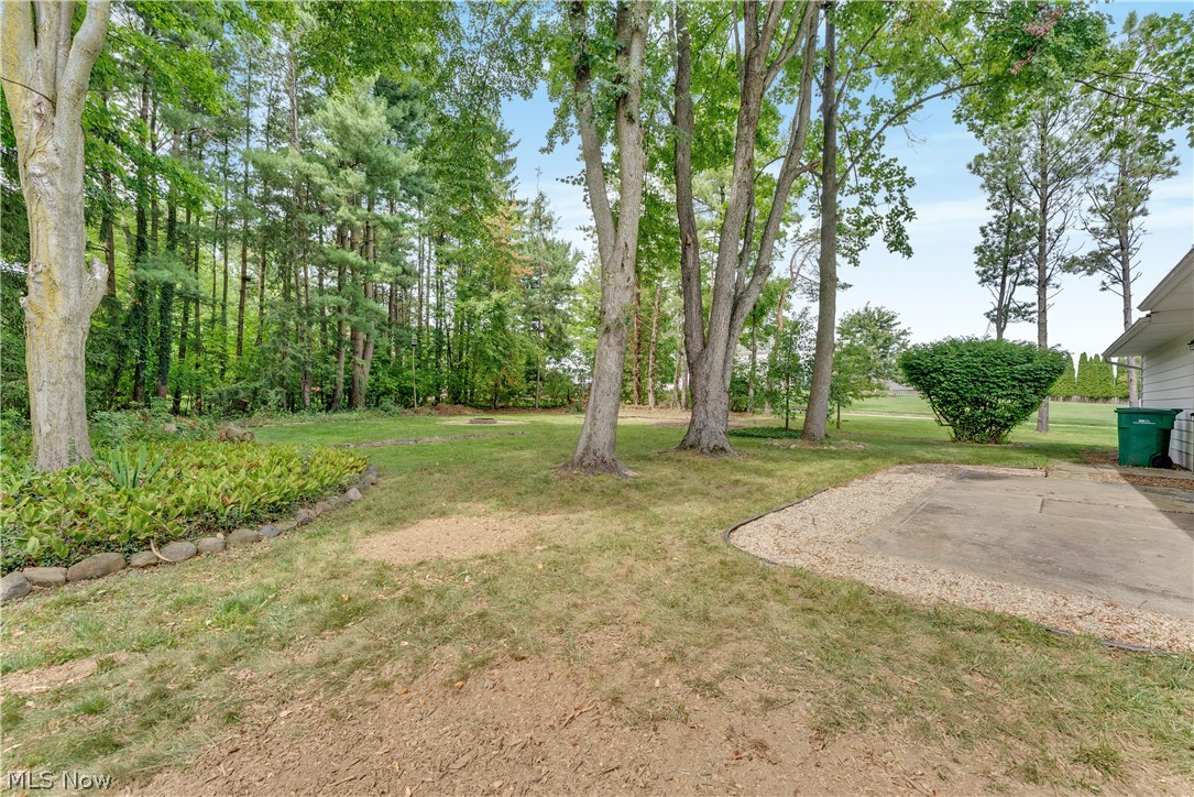 10074 Darrow Road Property Photo 27