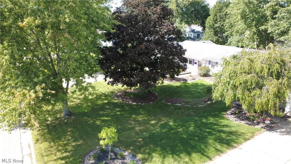 144 Runnemede Drive Property Photo 32