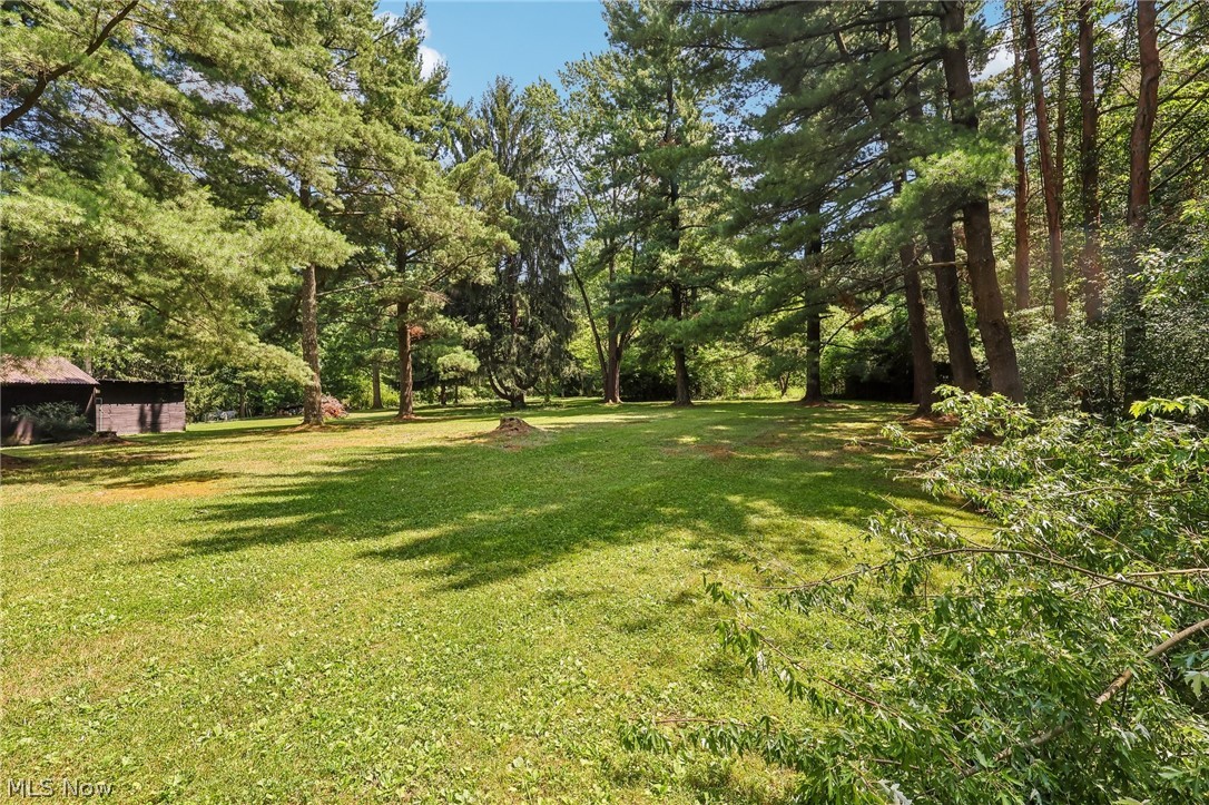 4288 Brush Road Property Photo 46