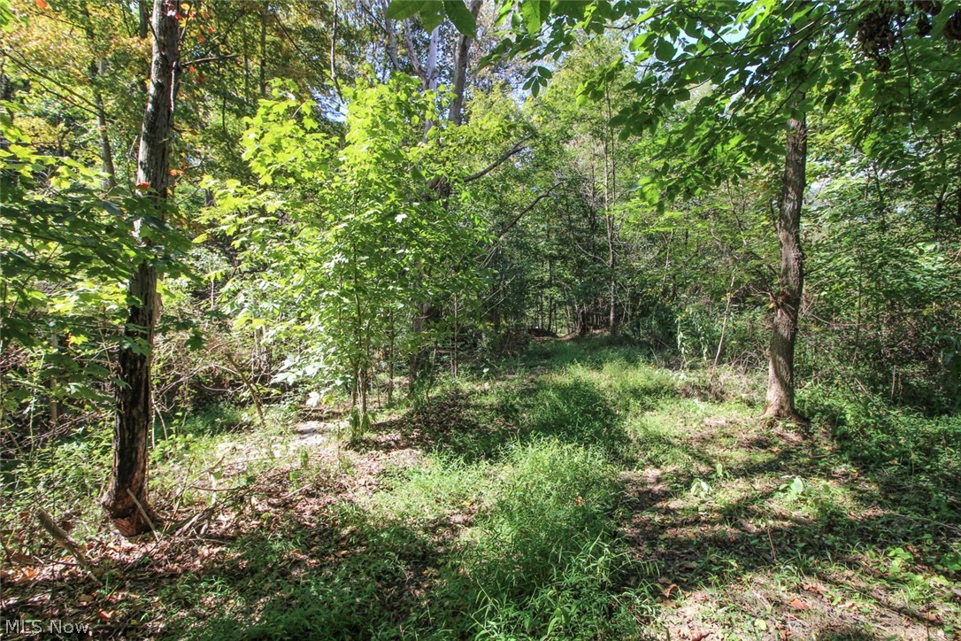 62319 Glencoe Road Property Photo 11