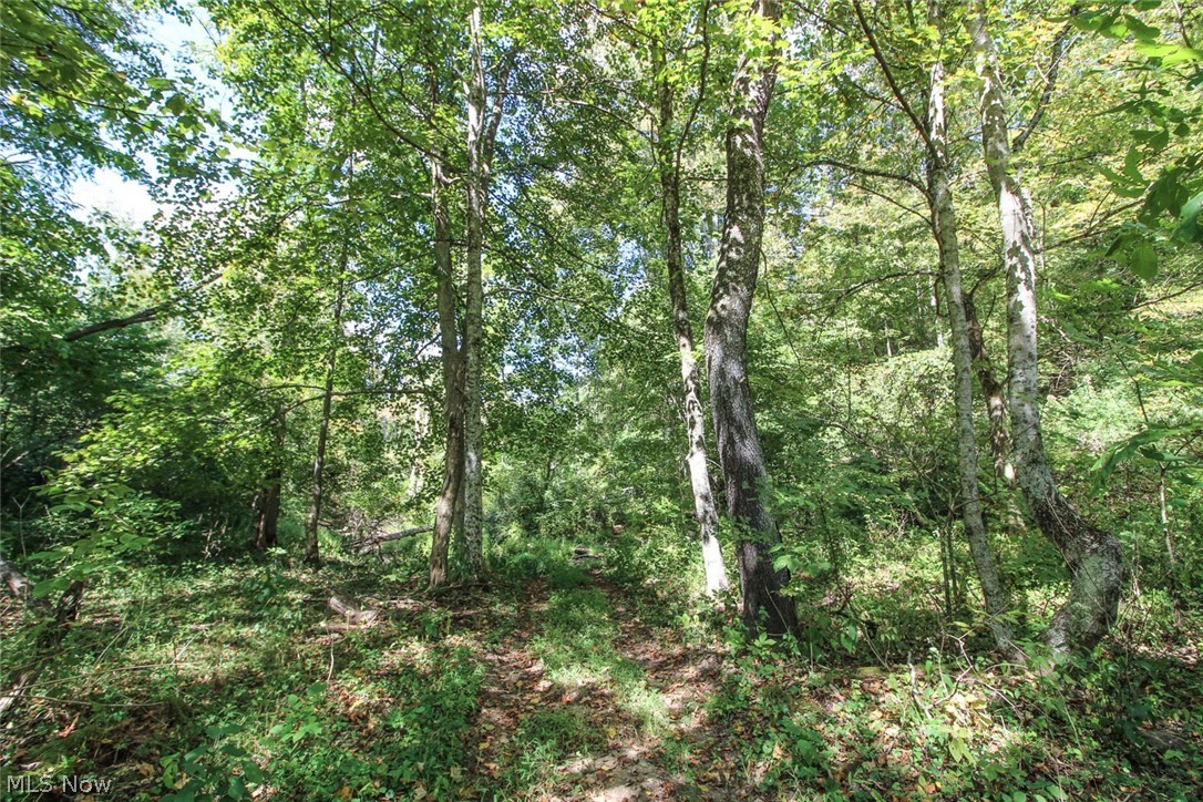 62319 Glencoe Road Property Photo 12