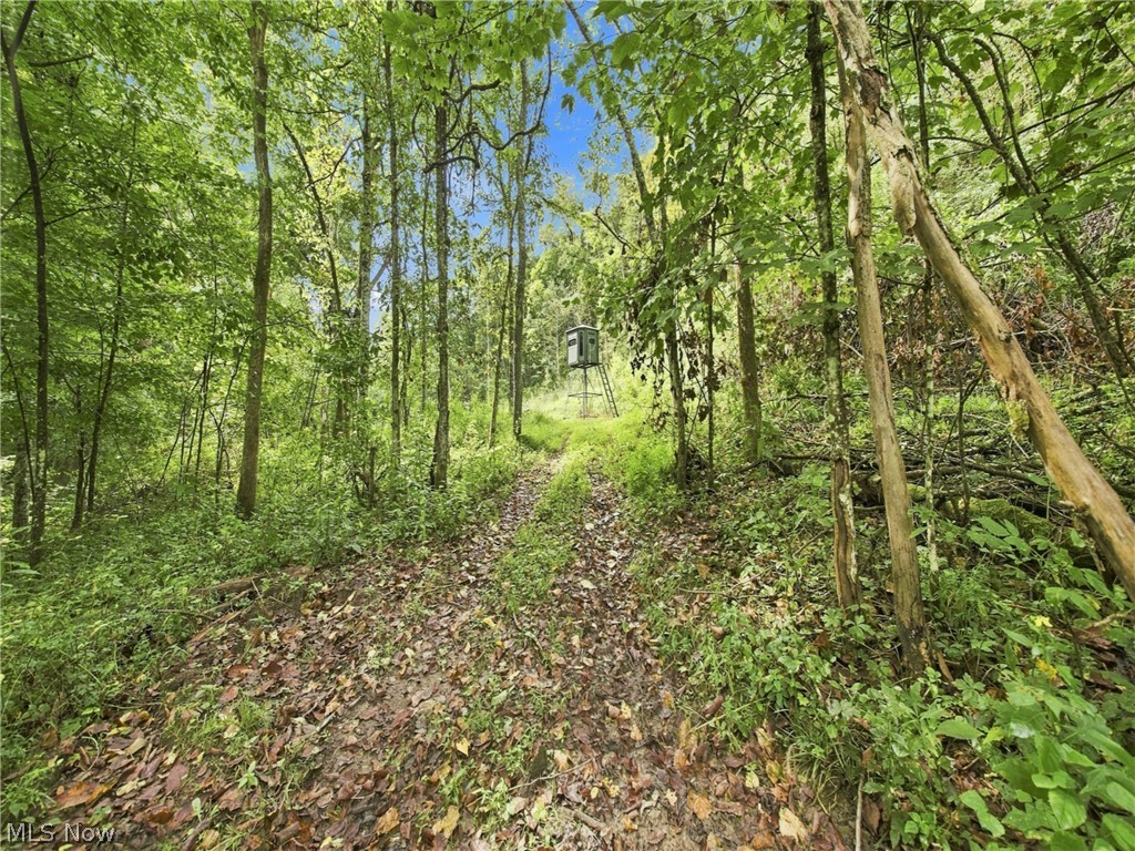 62319 Glencoe Road Property Photo 14