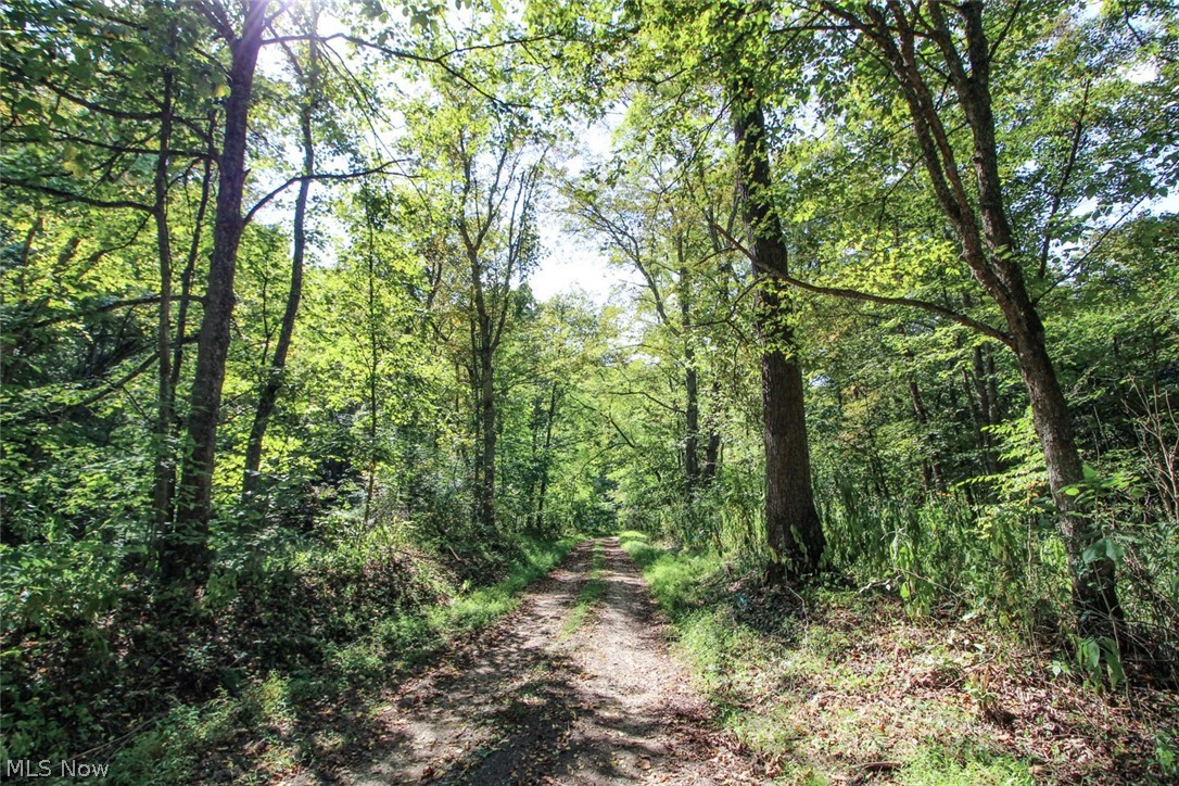 62319 Glencoe Road Property Photo 18