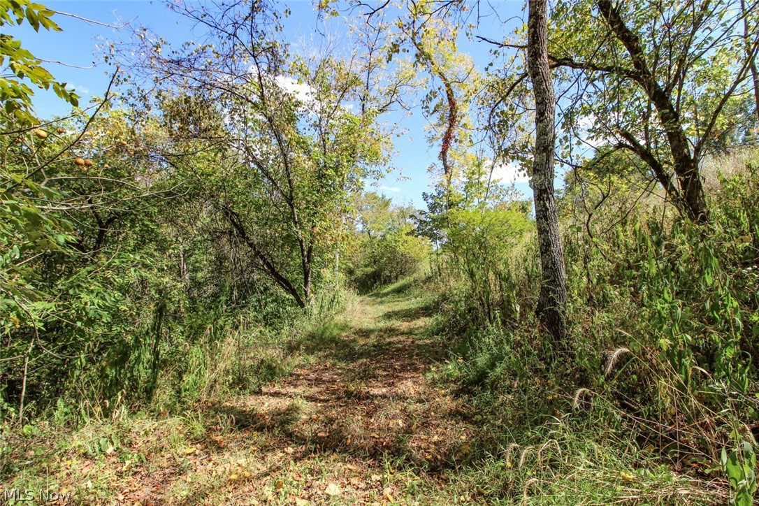 62319 Glencoe Road Property Photo 36