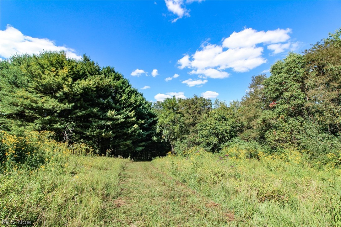 62319 Glencoe Road Property Photo 38