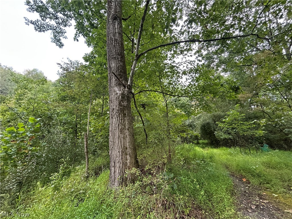 Township Rd. 282 Property Photo 8
