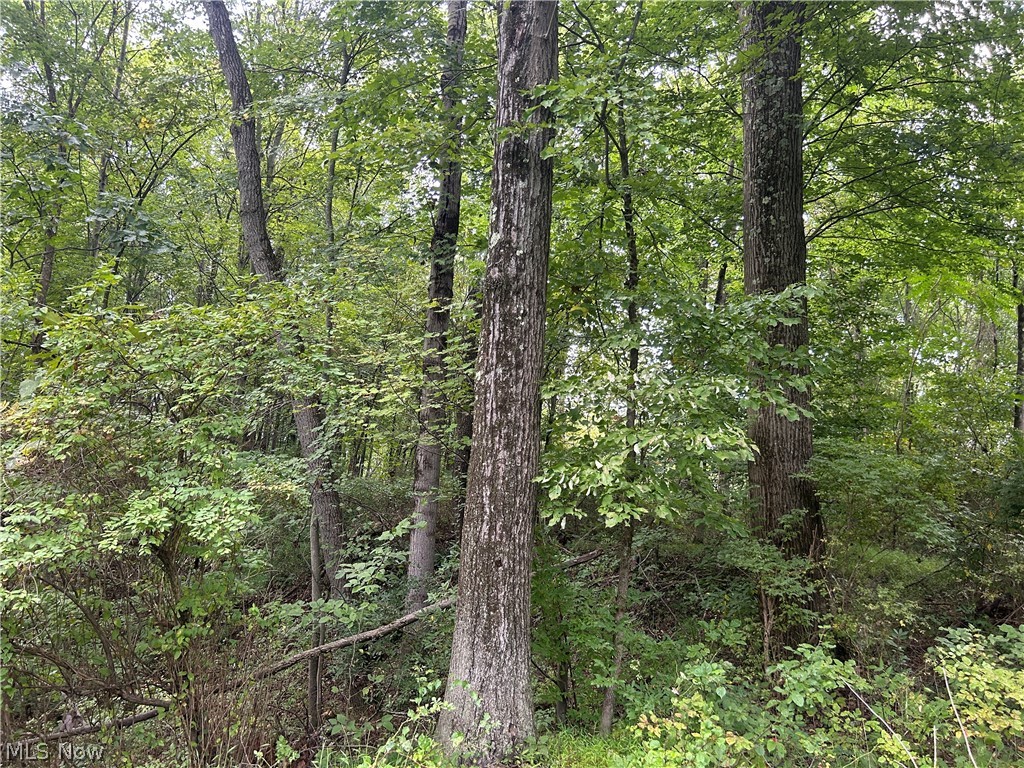 Township Rd. 282 Property Photo 12