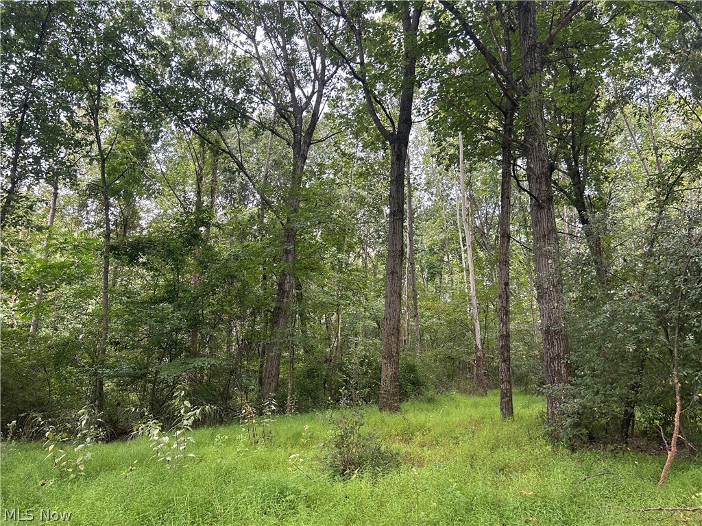 Township Rd. 282 Property Photo 13