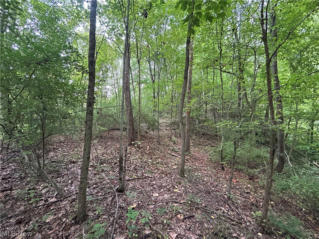 Township Rd. 282 Property Photo 14