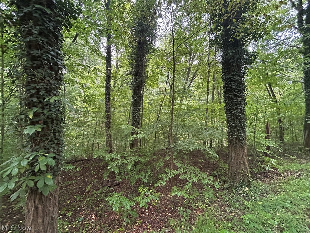 Township Rd. 282 Property Photo 17