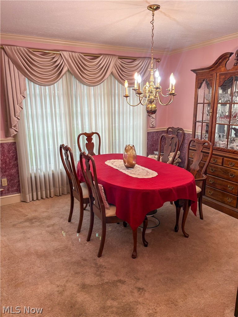 513 Park Ridge Drive Property Photo 11