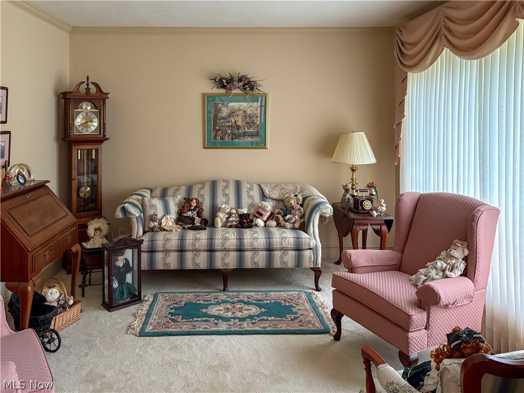 513 Park Ridge Drive Property Photo 13