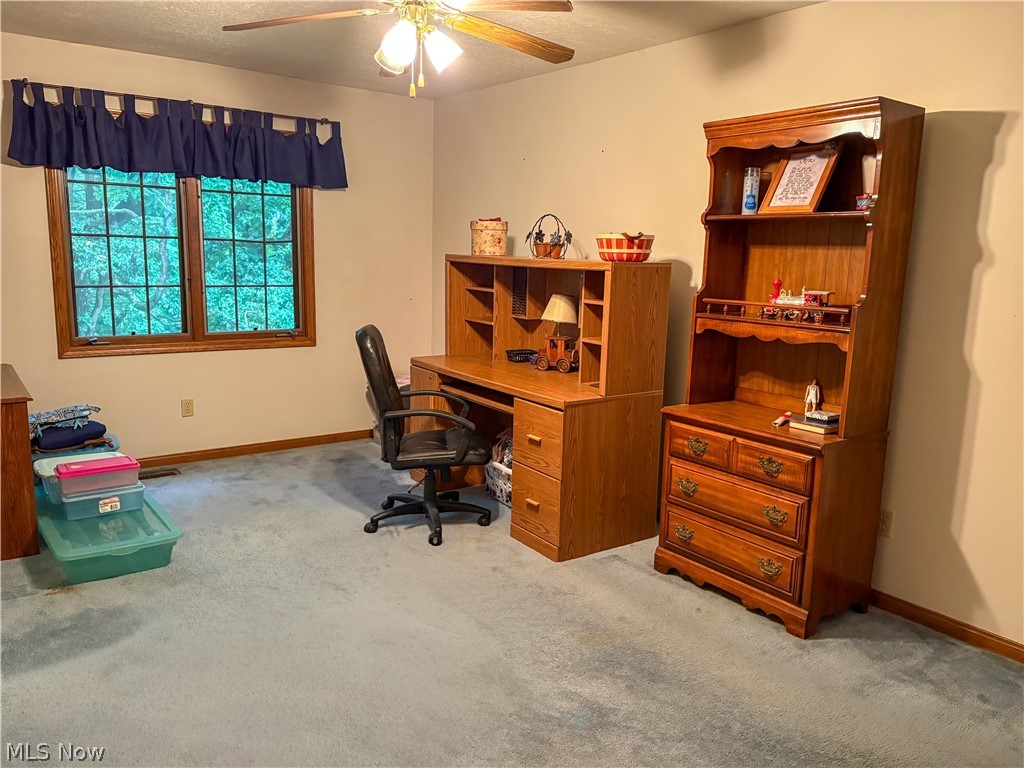 513 Park Ridge Drive Property Photo 21