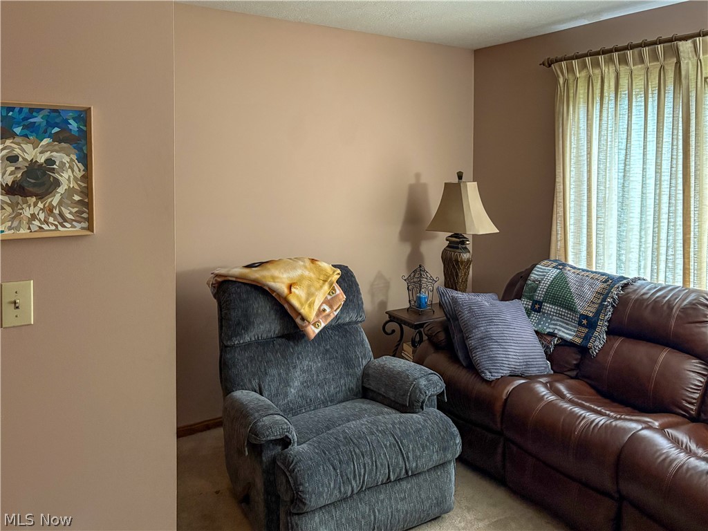 513 Park Ridge Drive Property Photo 22