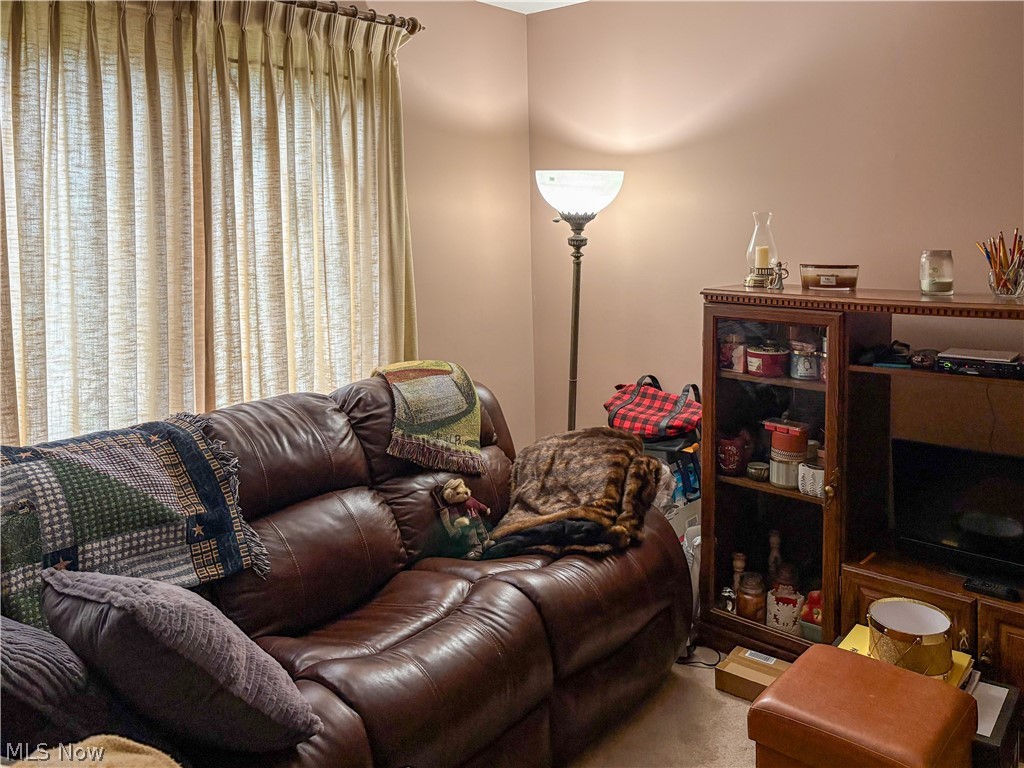 513 Park Ridge Drive Property Photo 23