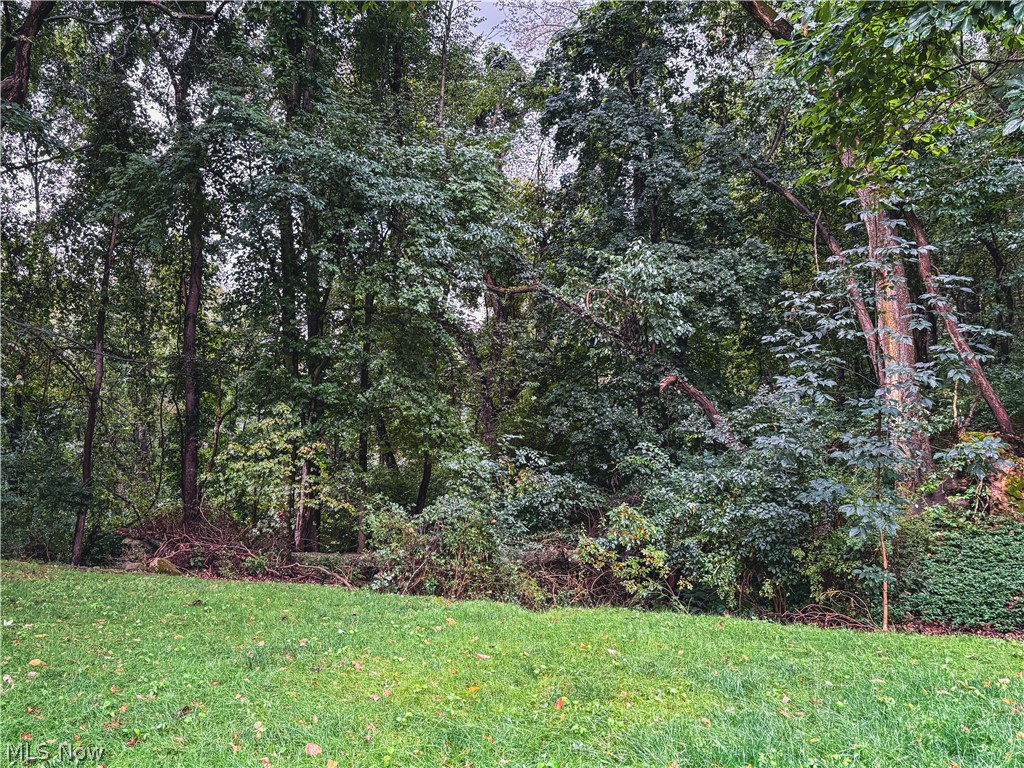 513 Park Ridge Drive Property Photo 33