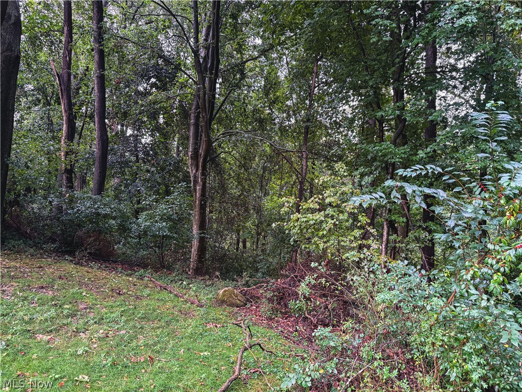 513 Park Ridge Drive Property Photo 34
